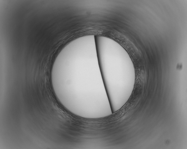 X0000097670649200803211944