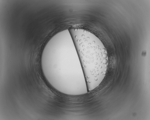 X0000097670650200803211944