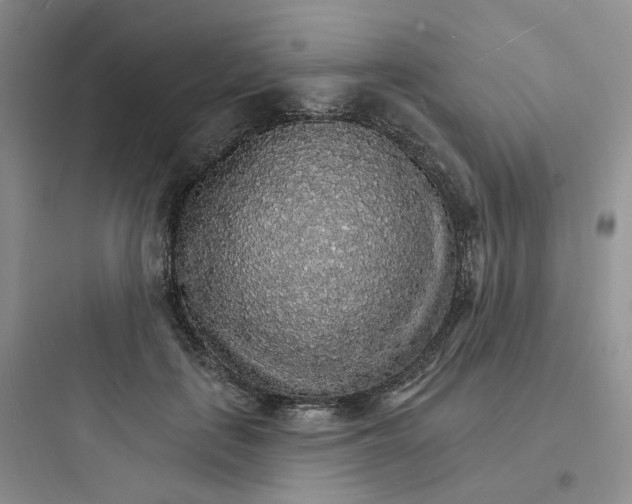 X0000097670651200803211944