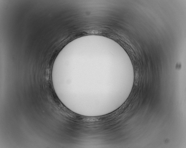 X0000097670652200803211944