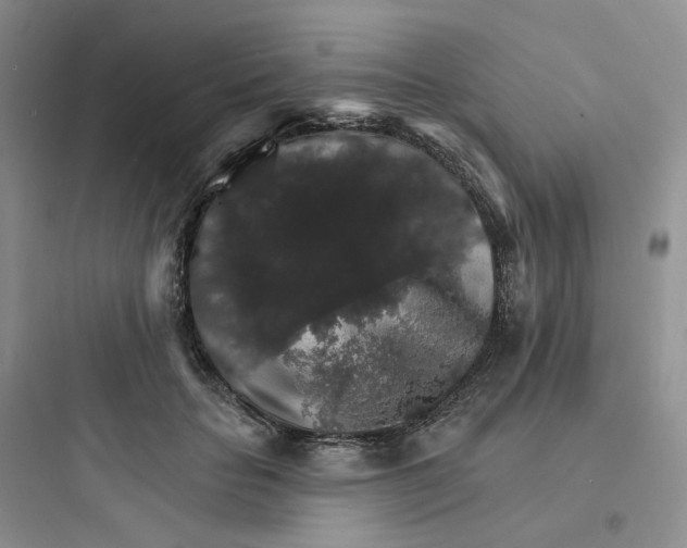 X0000097670653200803211944