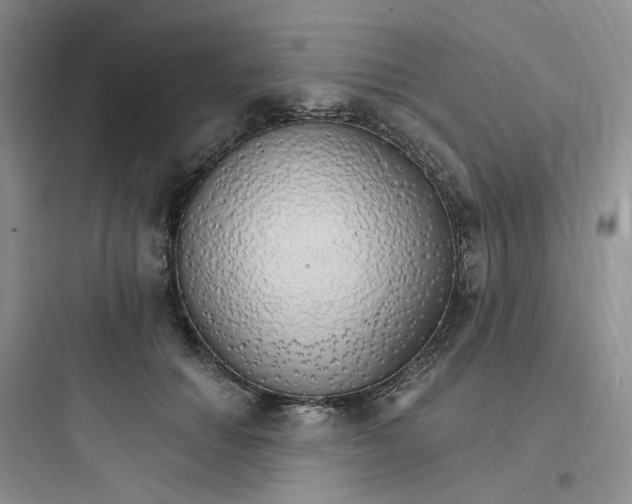 X0000097670654200803211944