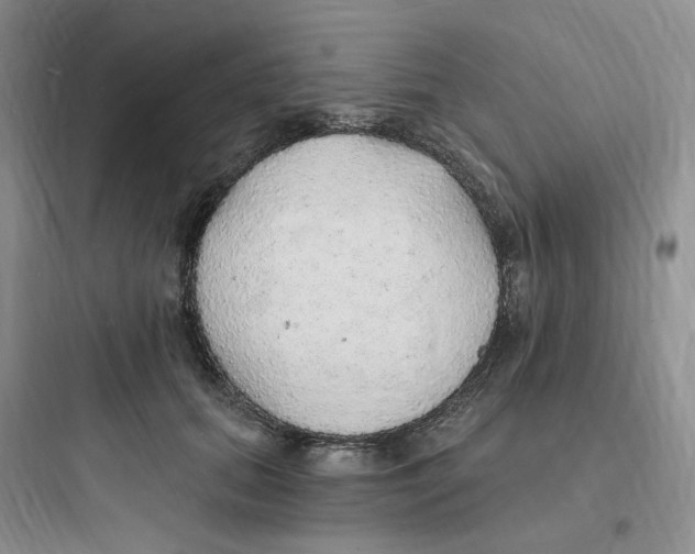 X0000097670655200803211944