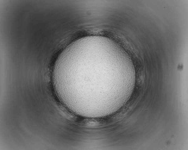 X0000097670658200803211944