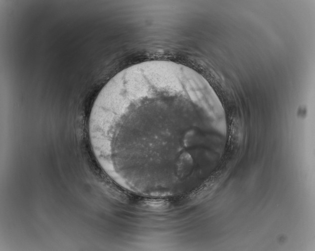 X0000097670659200803211944