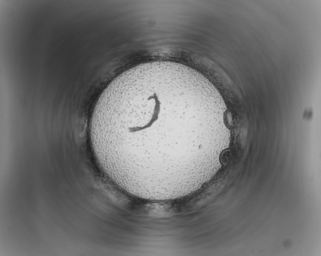 X0000097670660200803211944