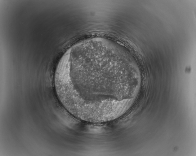 X0000097670661200803211944