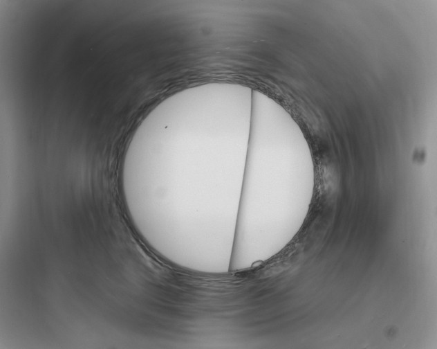 X0000097670664200803211944