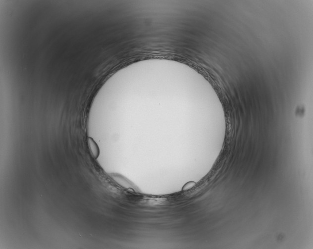 X0000097670665200803211944