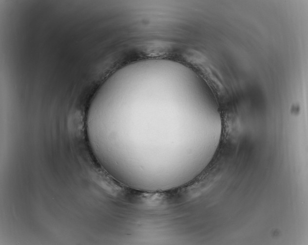 X0000097670667200803211944