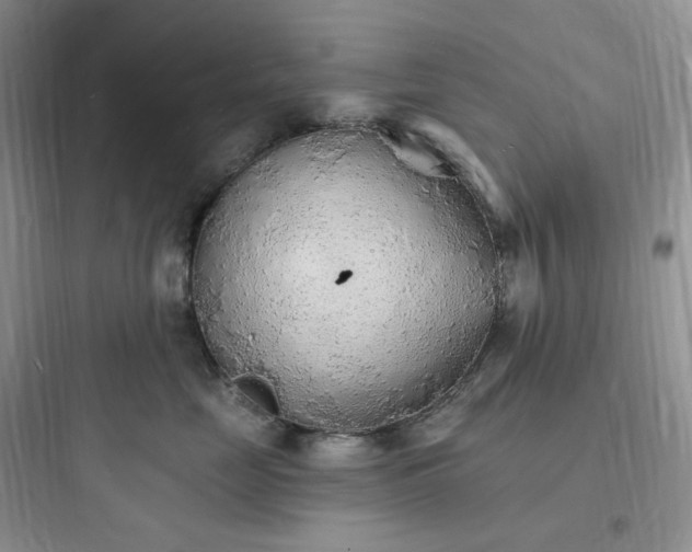 X0000097670669200803211944