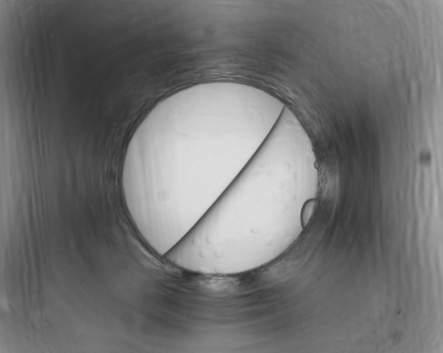 X0000097670670200803211944