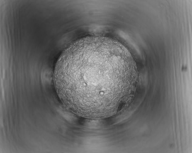 X0000097670671200803211944