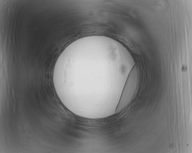 X0000097670672200803211944