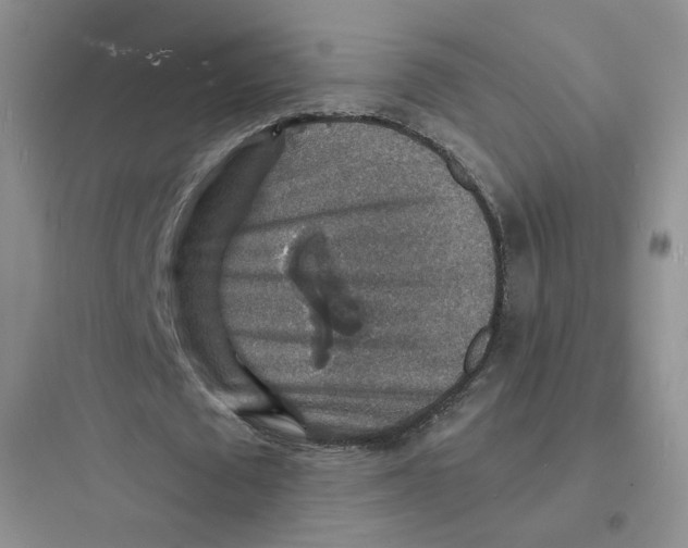 X0000097670673200803211943