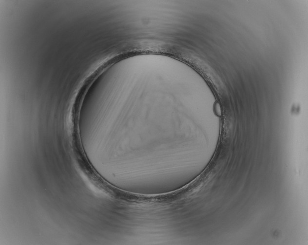 X0000097670674200803211943