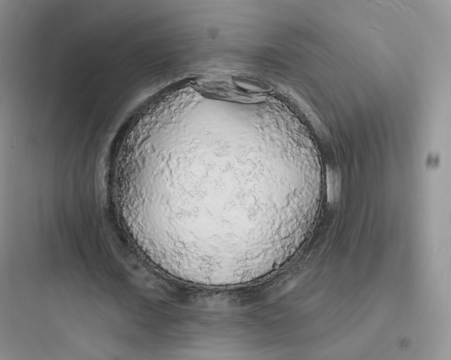 X0000097670675200803211943