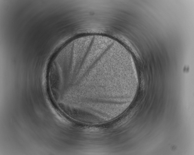 X0000097670677200803211943