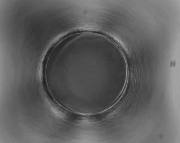 X0000097670678200803211943