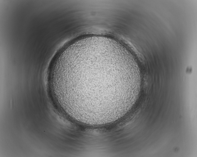 X0000097670679200803211943