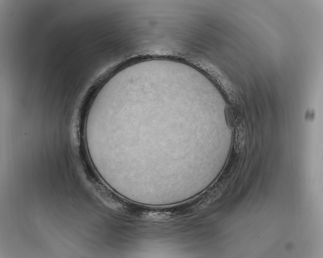 X0000097670680200803211943