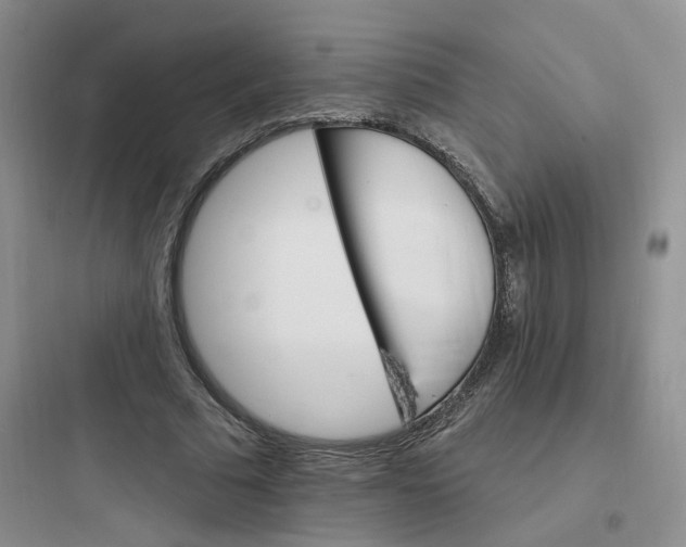 X0000097670681200803211943