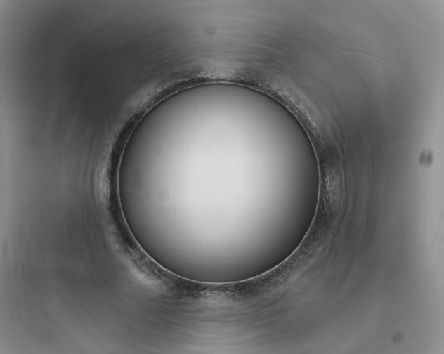 X0000097670682200803211943