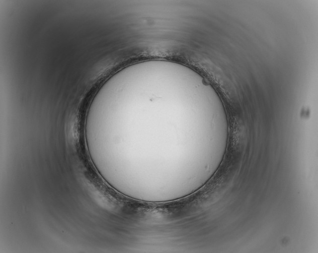 X0000097670683200803211943