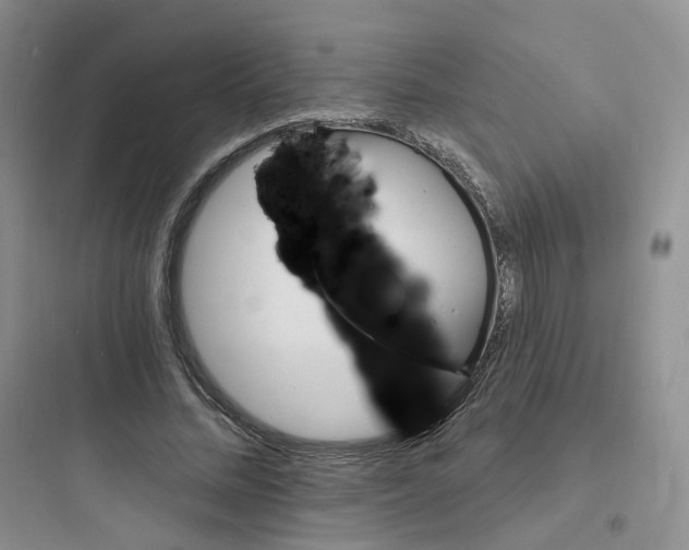 X0000097670684200803211943