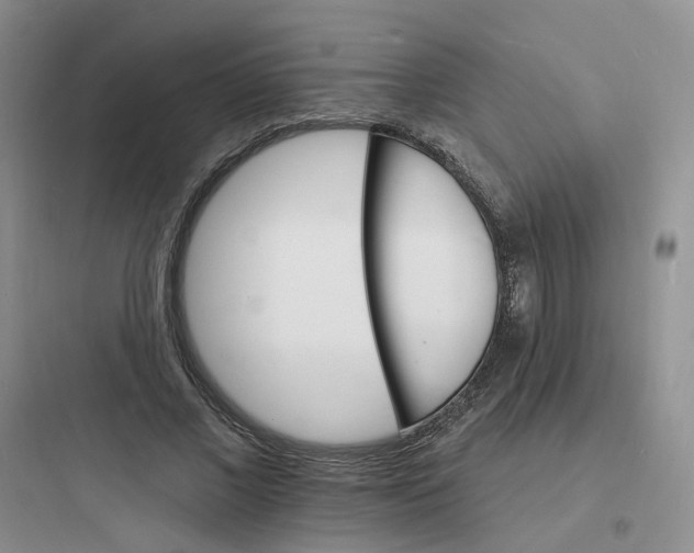 X0000097670685200803211943