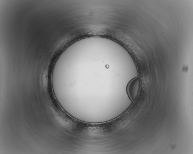 X0000097670686200803211943