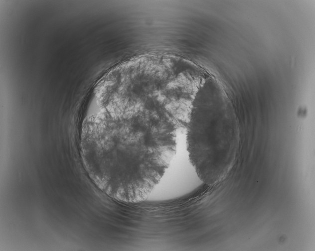 X0000097670687200803211943