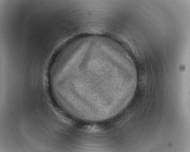 X0000097670688200803211943