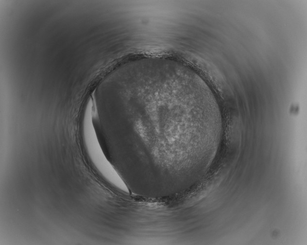 X0000097670689200803211943