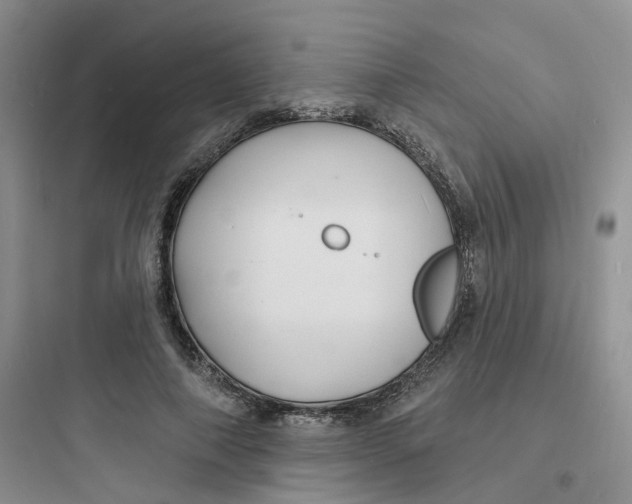 X0000097670690200803211943