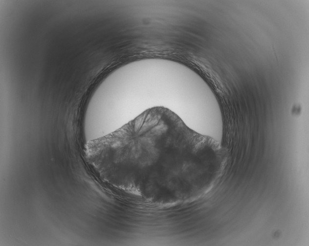 X0000097670691200803211943