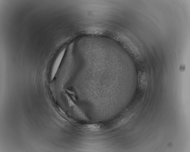 X0000097670692200803211943