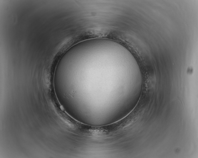 X0000097670693200803211943