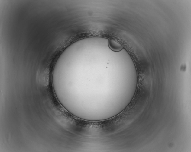 X0000097670694200803211943