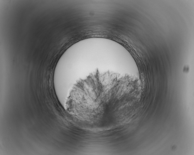 X0000097670695200803211943