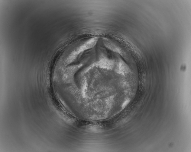 X0000097670696200803211943