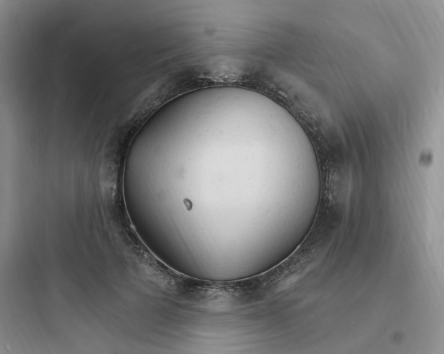 X0000097670697200803211943