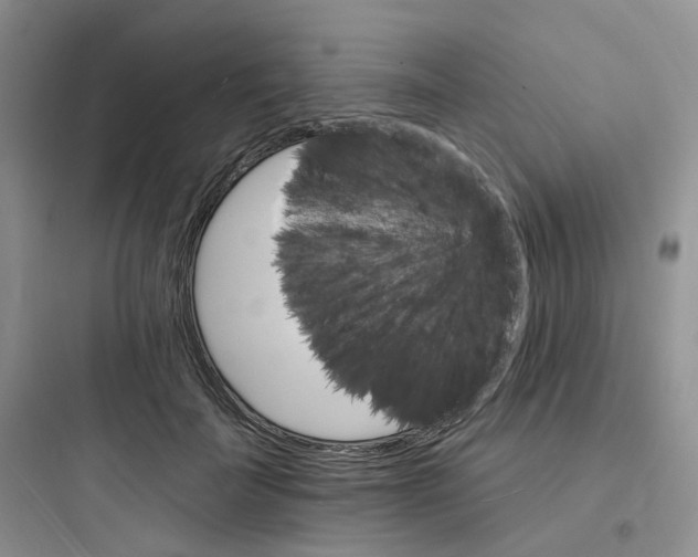 X0000097670699200803211943