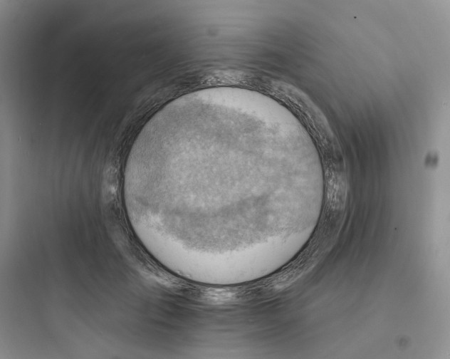 X0000097670701200803211943