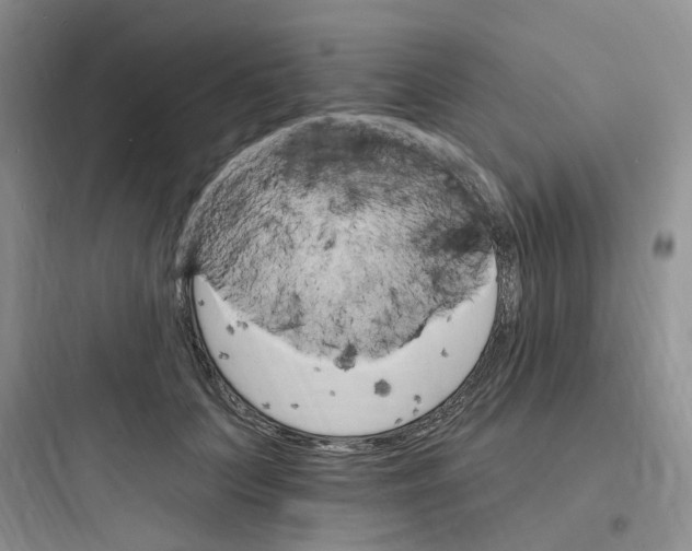 X0000097670703200803211943