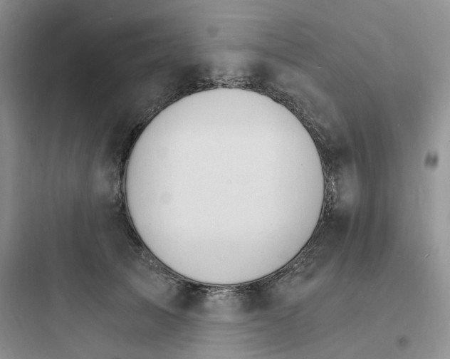 X0000097670705200803211943