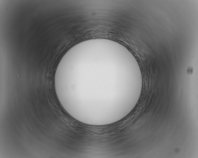 X0000097670709200803211943