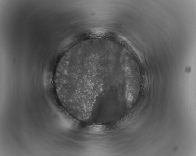 X0000097670711200803211943