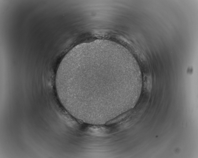 X0000097670712200803211943