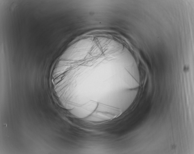 X0000097670717200803211942